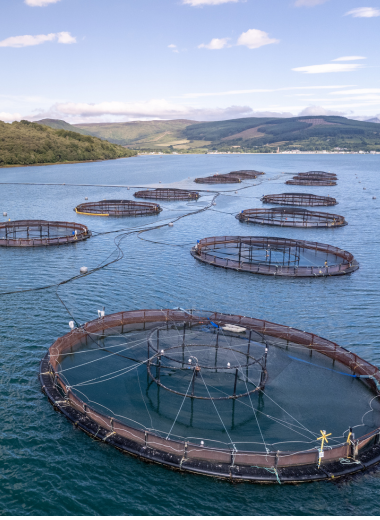 diseño sin título (23)